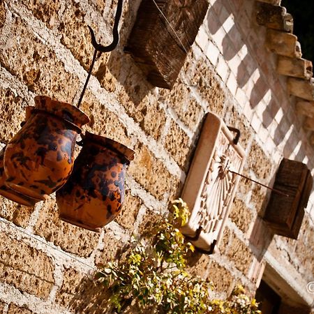 Country House La Cipolla D'Oro Potenza Picena Extérieur photo